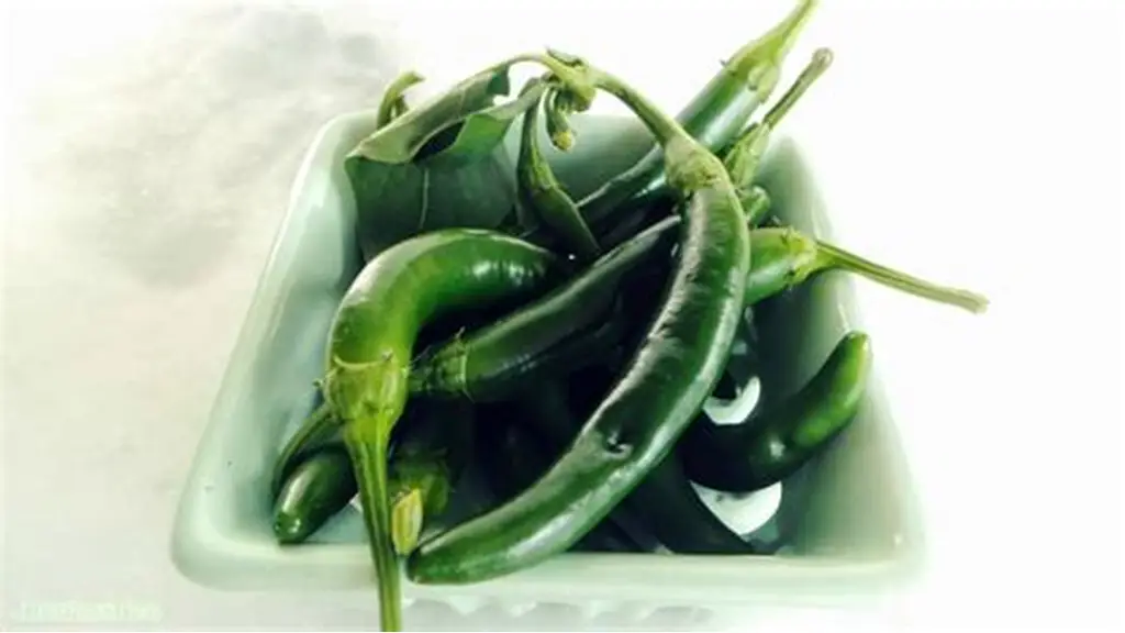 Organic Spice Commercial Grade Organic Green Chillies - Small (250g) - Bundle