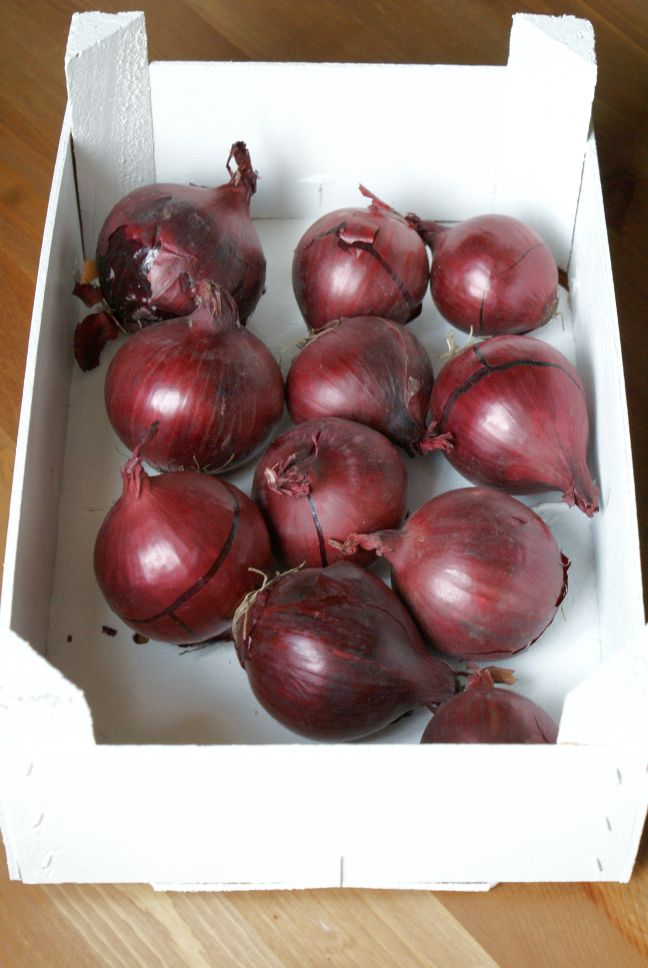 Fresh Direct Commercial Grade Farm Fresh Red Onions - Small (500g) - Box