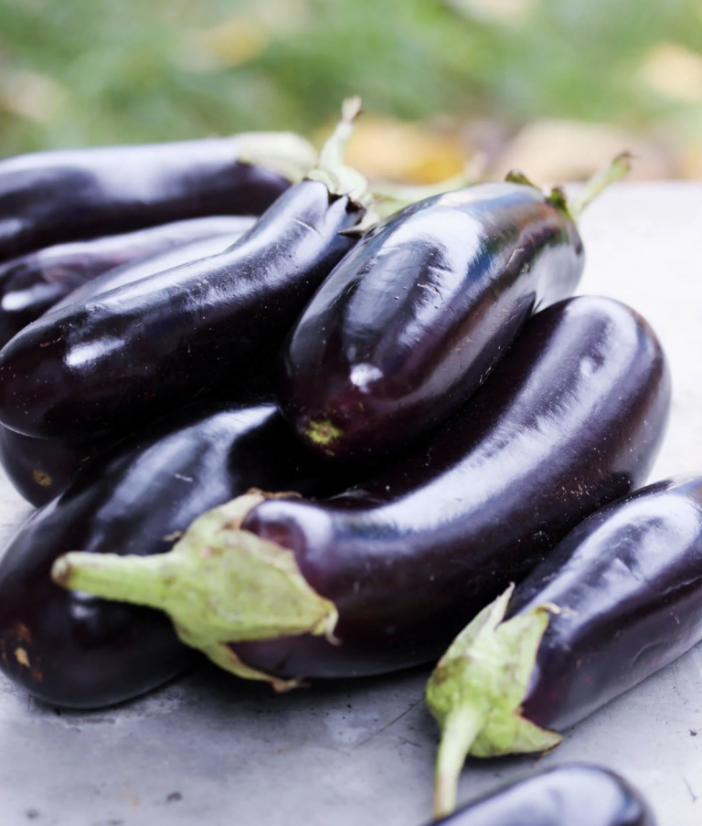 Harvest Direct Grade A Dried Fresh Eggplant - Extra Large (2kg)