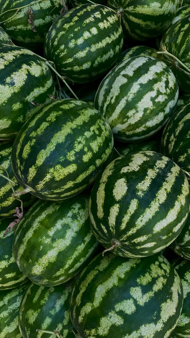 FarmMaster Organic Premium Premium Fresh Watermelon - Medium (500g)