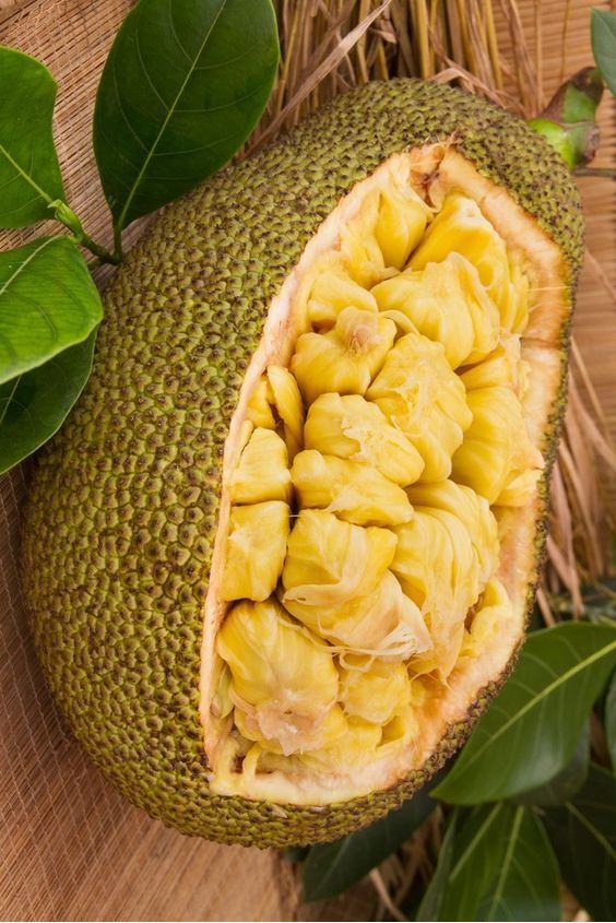 Premium Produce Grade A Dried Fresh Jackfruit - Small (250g)