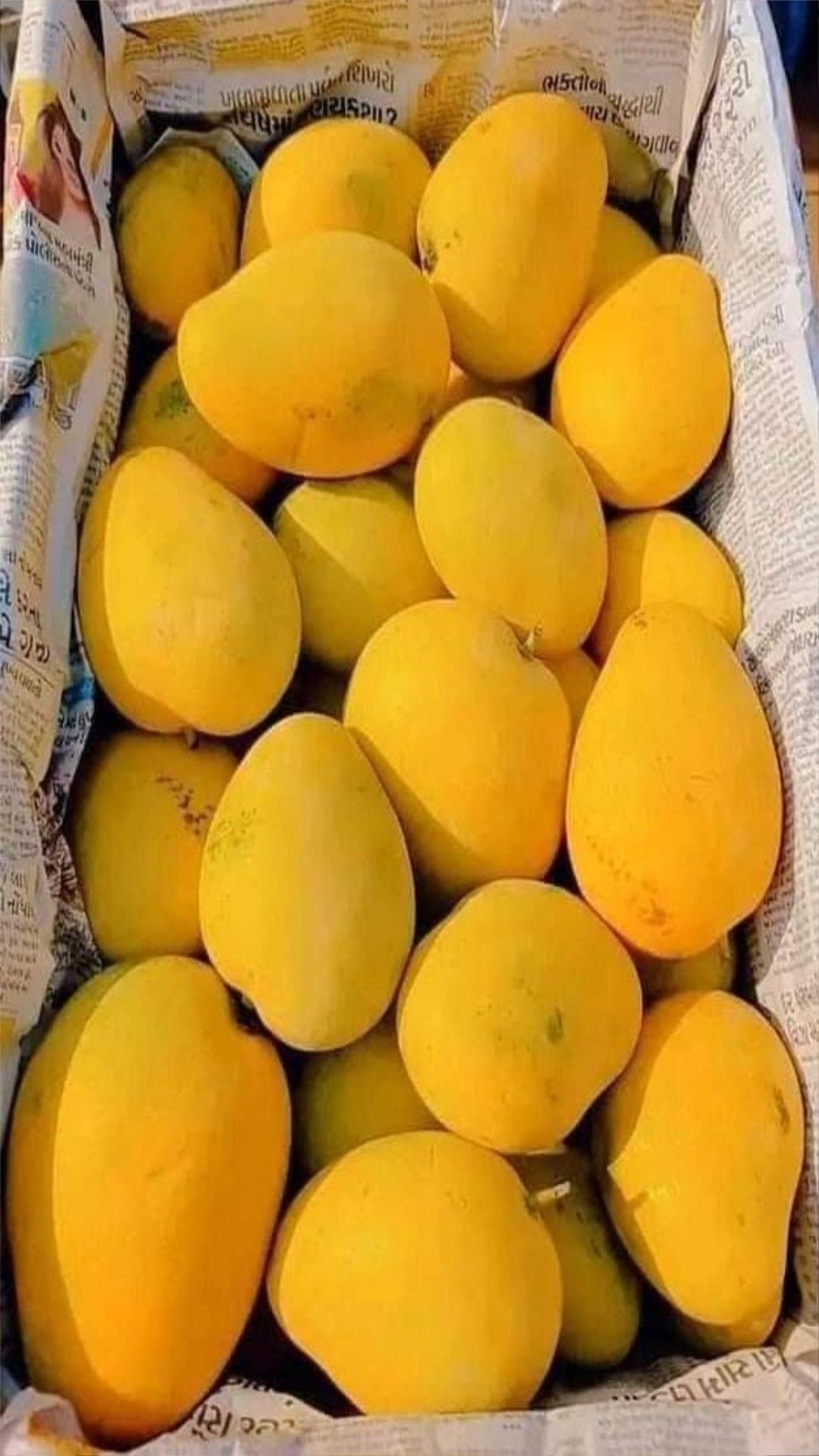 Harvest Direct Grade B Dried Fresh Mangoes - Extra Large (2kg)