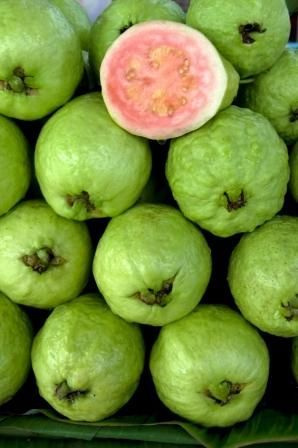 Premium Produce Organic Organic Fresh Guava - Medium (500g)