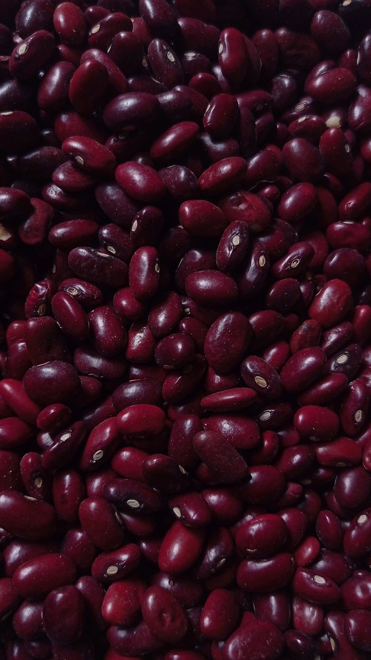 Harvest Direct Grade B Dried Red Kidney Beans - Medium (500g)