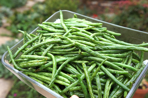 Premium Produce Grade A Premium Farm Fresh Fresh Green Beans - Extra Large (2kg)