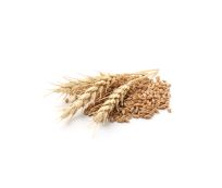 Harvest Direct Grade A Premium Hard Red Wheat - Jumbo (25kg) - Pack