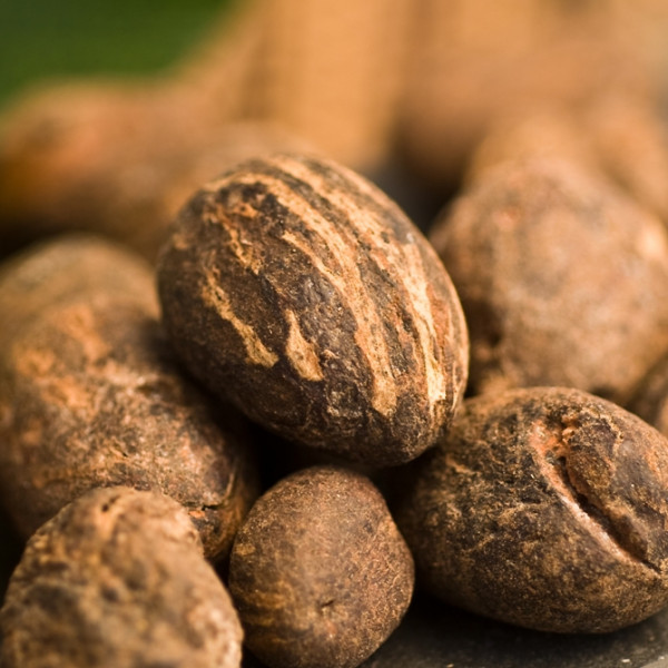 Harvest Direct Organic Dried Raw Shea Nuts - Extra Large (2kg)