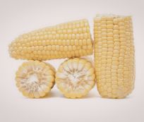 Fresh Harvest Grade A Premium White Maize - Extra Large (10kg) - Box