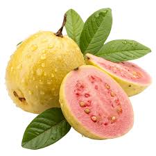 Premium Produce Organic Fresh Fresh Guava - Small (250g)