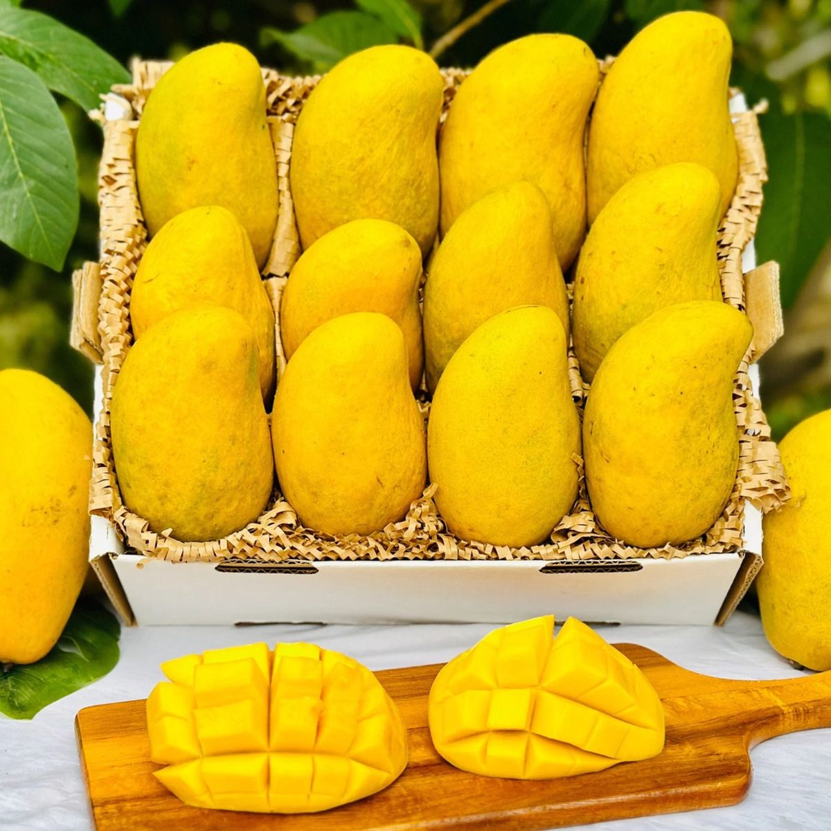 Harvest Direct Organic Farm Fresh Fresh Mangoes - Small (250g)