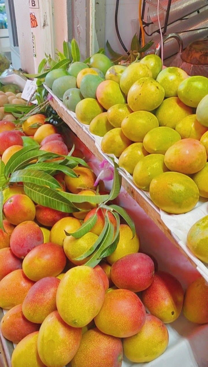 Harvest Direct Grade A Premium Premium Fresh Mangoes - Medium (500g)