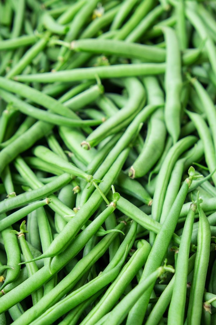Premium Green Beans