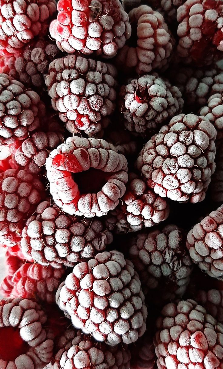 Frozen Raspberries Species