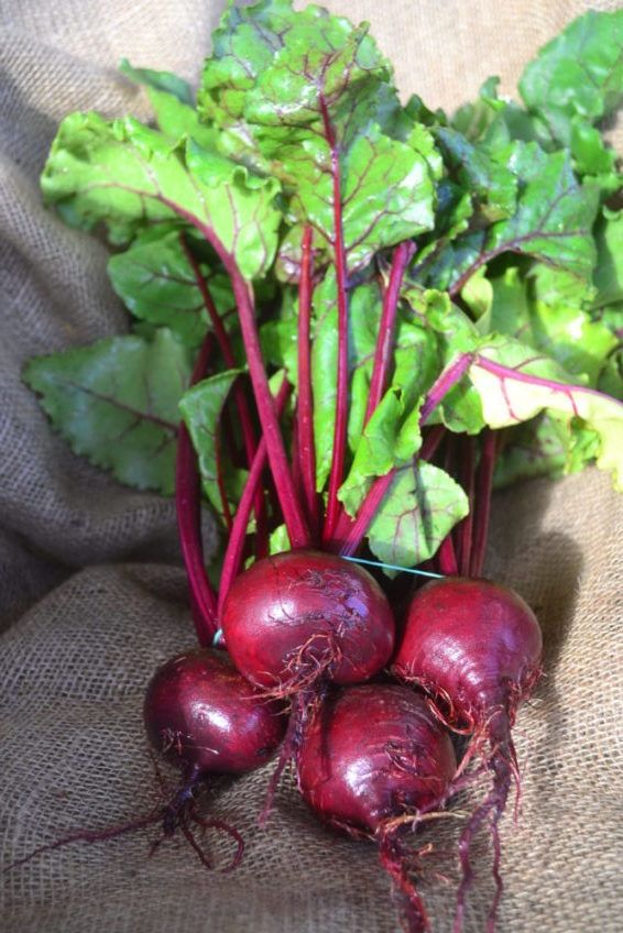 Beets Choice