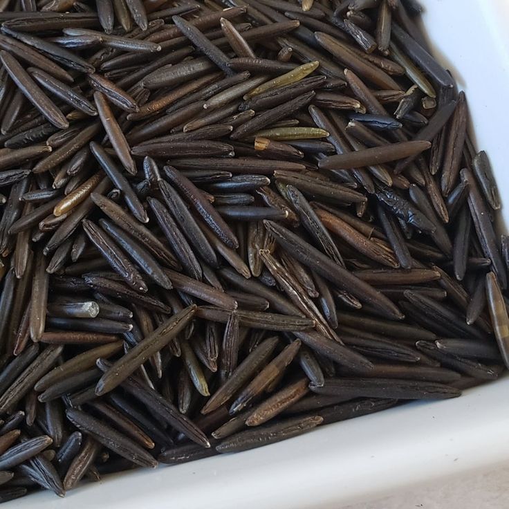 Premium Wild Rice