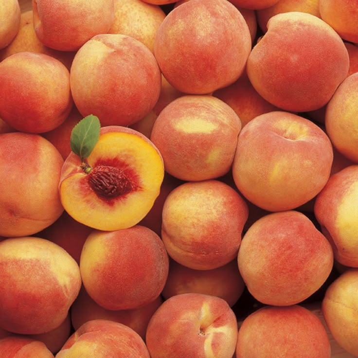 Apricots Choice