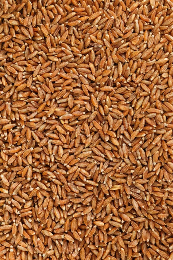 Frozen Kamut Species