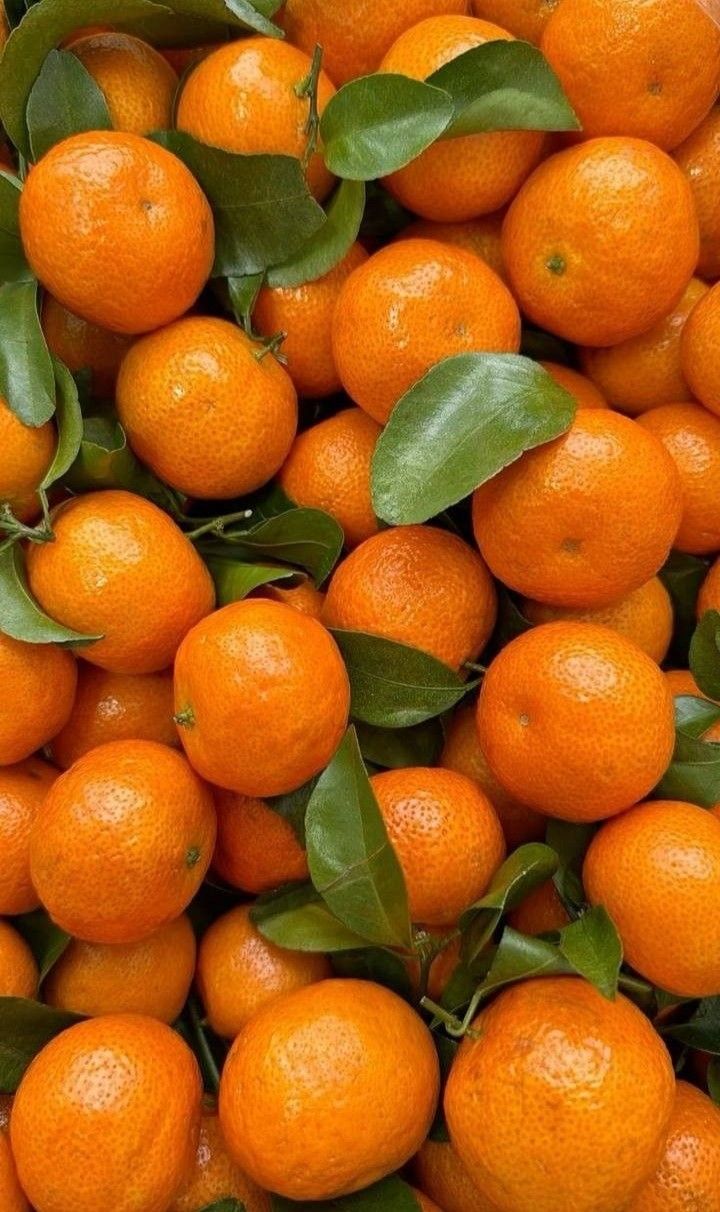Oranges Choice