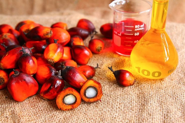 Palm Oil - Dried 3