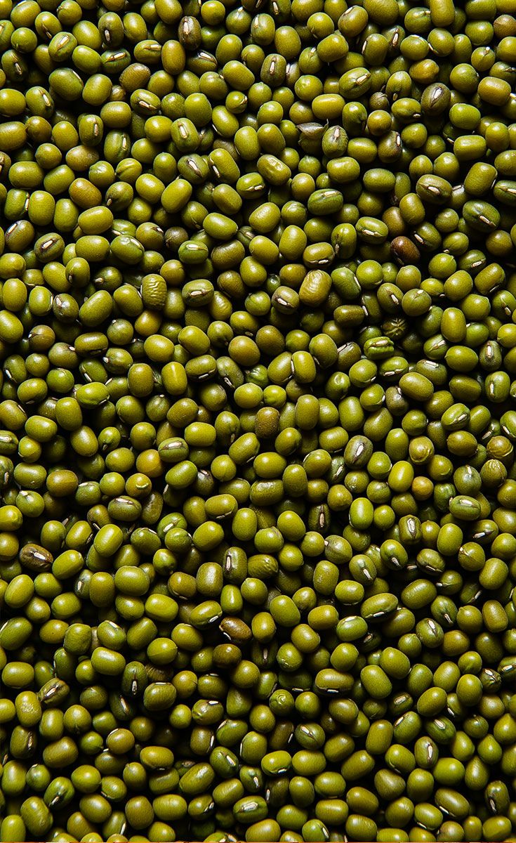 Green Beans - Dried 3