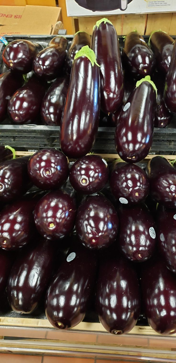 Frozen Eggplant Species