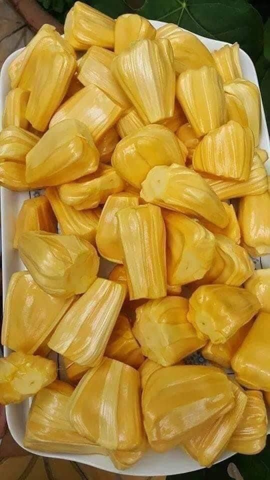 Jackfruits
