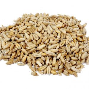 Triticale - Dried 3